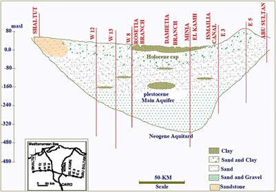 Numerical assessment of riverbank filtration using gravel back filter to improve water quality in arid regions